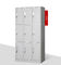 Armário de armazenamento de revestimento ISO9001 do cacifo do metal do pó de 9 portas